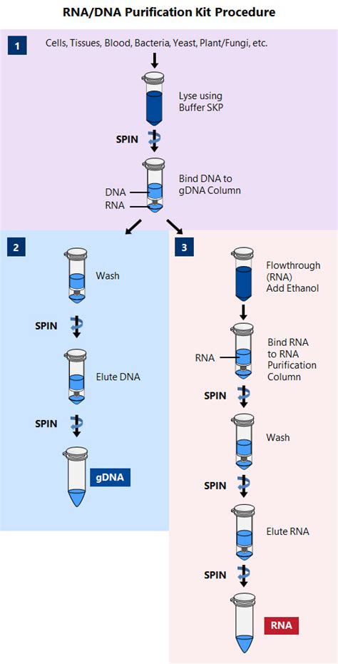 mrna purification kit|DNA & RNA Purification .